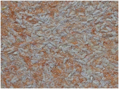 POLDECOR skysti tapetai TYP27 NR03