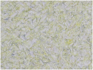 POLDECOR skysti tapetai TYP27 NR05