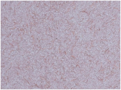 POLDECOR skysti tapetai TYP31 NR01