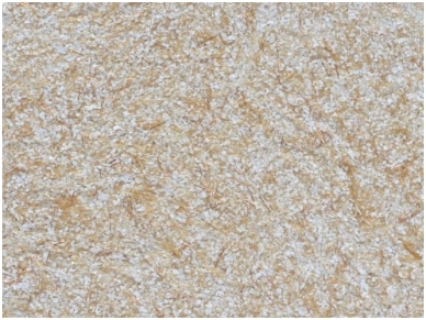 POLDECOR skysti tapetai TYP31 NR07