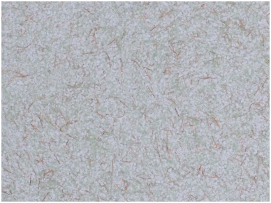 POLDECOR skysti tapetai TYP31 NR06
