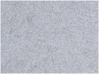 POLDECOR skysti tapetai TYP31 NR05