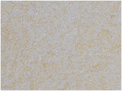 POLDECOR skysti tapetai TYP31 NR03