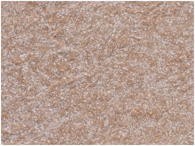 POLDECOR skysti tapetai TYP30 NR05