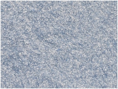 POLDECOR skysti tapetai TYP31 NR11