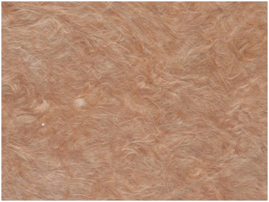 POLDECOR skysti tapetai TYP32 NR05
