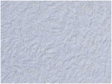 POLDECOR skysti tapetai TYP06 NR02
