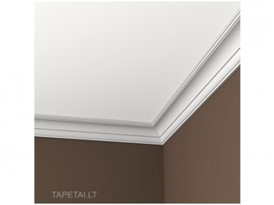 Poliuretaniniai lubų apvadai 1.50.101 , ilgis 2m 1 Poliuretaniniai lubų apvadai 1.50.101 , ilgis 2m 1