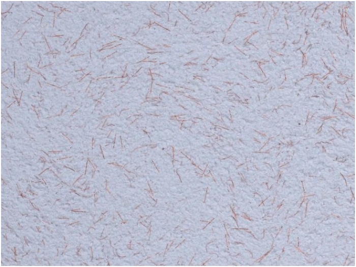 POLDECOR skysti tapetai TYP22 NR04