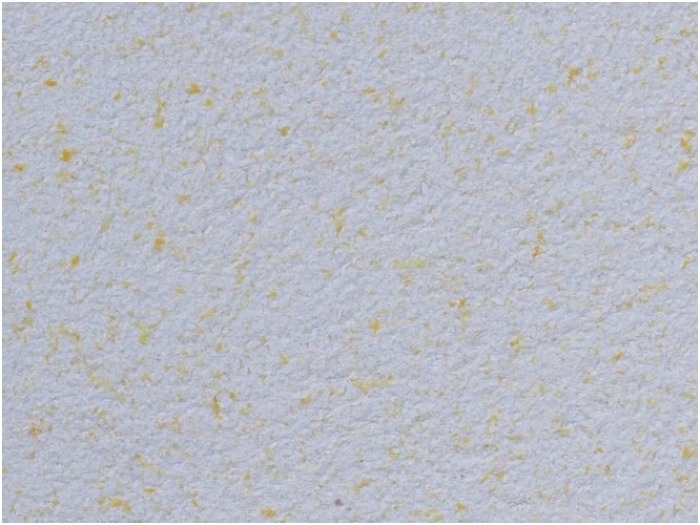 POLDECOR skysti tapetai TYP23 NR02
