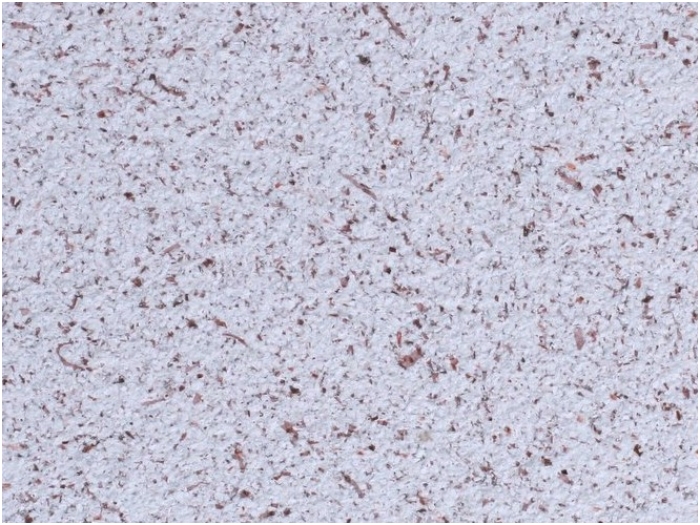 POLDECOR skysti tapetai TYP23 NR01