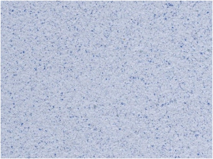 POLDECOR skysti tapetai TYP25 NR09