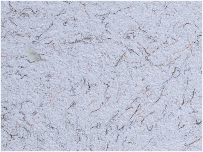 POLDECOR skysti tapetai TYP22 NR08