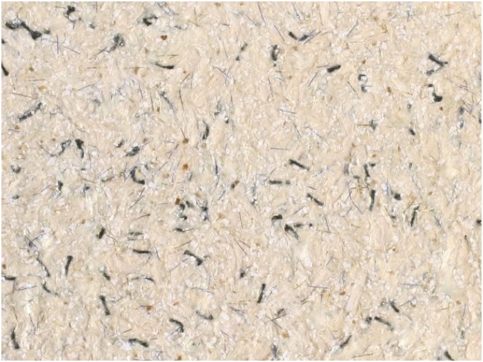 POLDECOR skysti tapetai TYP03 NR01 POLDECOR skysti tapetai TYP03 NR01