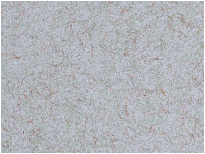 POLDECOR skysti tapetai TYP31 NR06 POLDECOR skysti tapetai TYP31 NR06