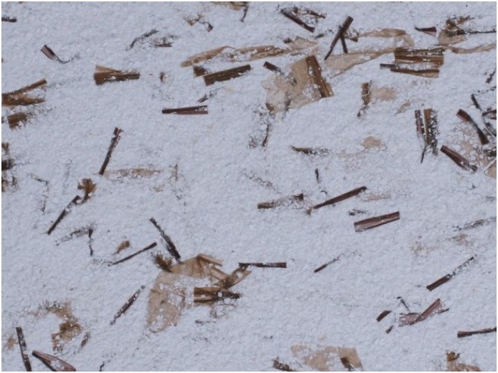 POLDECOR skysti tapetai TYP09 NR08