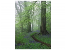 RASCH fototapetai 840759