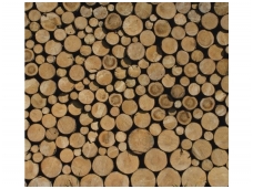 RASCH fototapetai 890358
