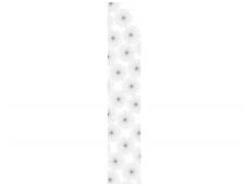 RASCH fototapetai 890457