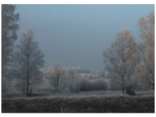 RASCH fototapetai 890853