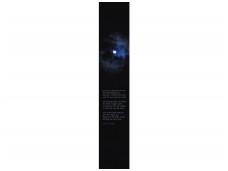 RASCH fototapetai 891553