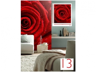 RASCH fototapetai 839555 1