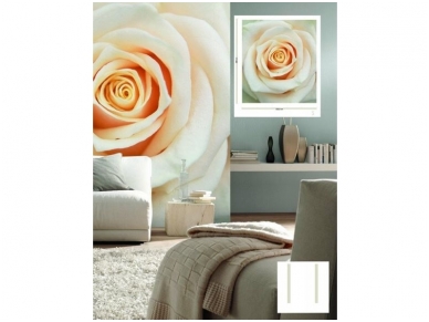 RASCH fototapetai 839654 1 RASCH fototapetai 839654 1