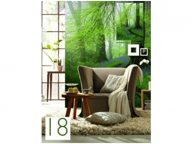 RASCH fototapetai 840759 1
