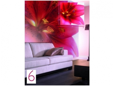 RASCH fototapetai 890051 1
