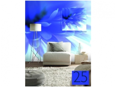 RASCH fototapetai 890754 1