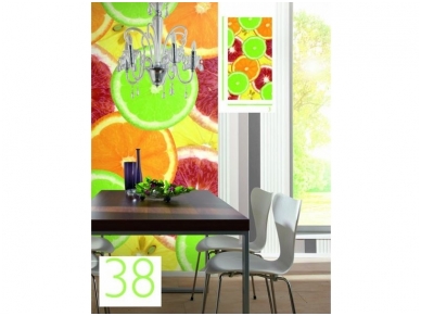 RASCH fototapetai 891355 1