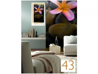 RASCH fototapetai 891607 1