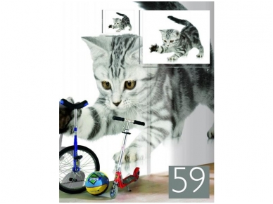 RASCH fototapetai 892314 1