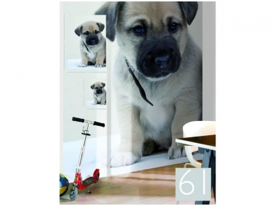 RASCH fototapetai 892413 1