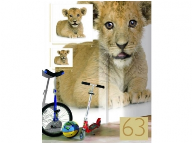 RASCH fototapetai 892468 1