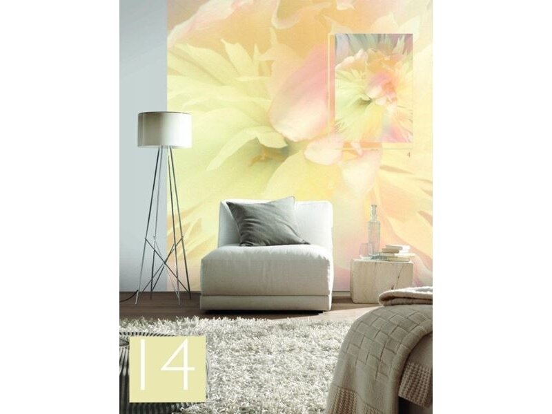 RASCH fototapetai 839807 1