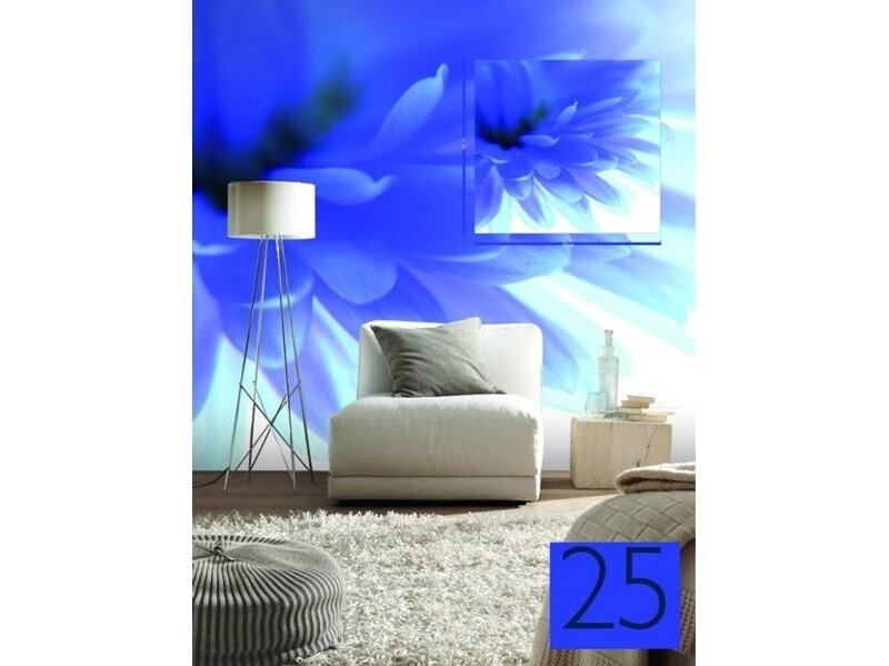 RASCH fototapetai 890754 1