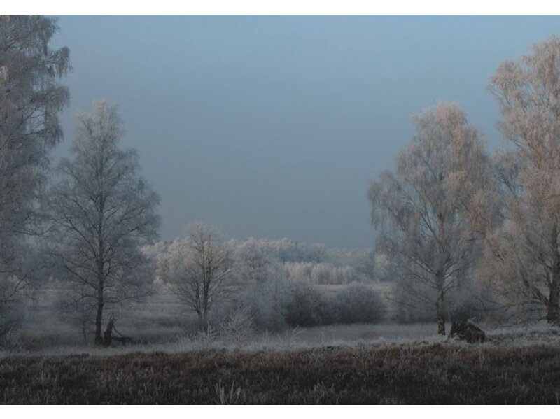 RASCH fototapetai 890853 RASCH fototapetai 890853