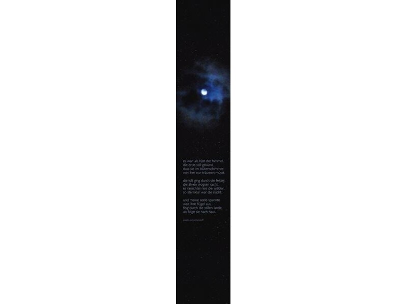 RASCH fototapetai 891553