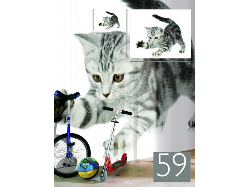 RASCH fototapetai 892307 1