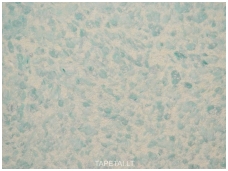 SILKPLASTER skysti tapetai Reljef 321