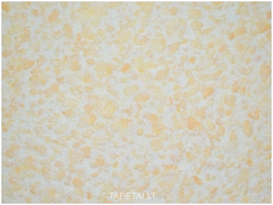 SILKPLASTER skysti tapetai Reljef 323