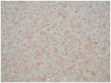 SILKPLASTER skysti tapetai Reljef 327 SILKPLASTER skysti tapetai Reljef 327