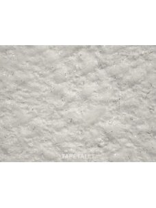 SILKPLASTER skysti tapetai Ecoline 751 SILKPLASTER skysti tapetai Ecoline 751