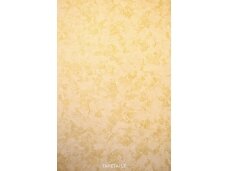 Tapetai 96095-2