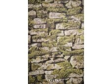 Tapetai 35809-1