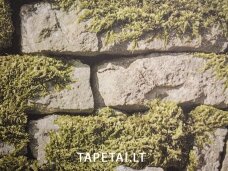 Tapetai 35809-1 Tapetai 35809-1