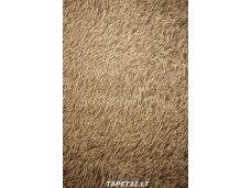Tapetai 514513