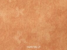 Tapetai 5523-58 Tapetai 5523-58