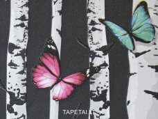 Tapetai 74309